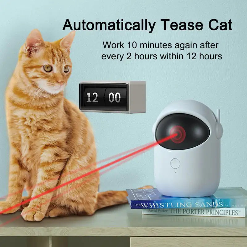 Auto Laser Cat Playtime